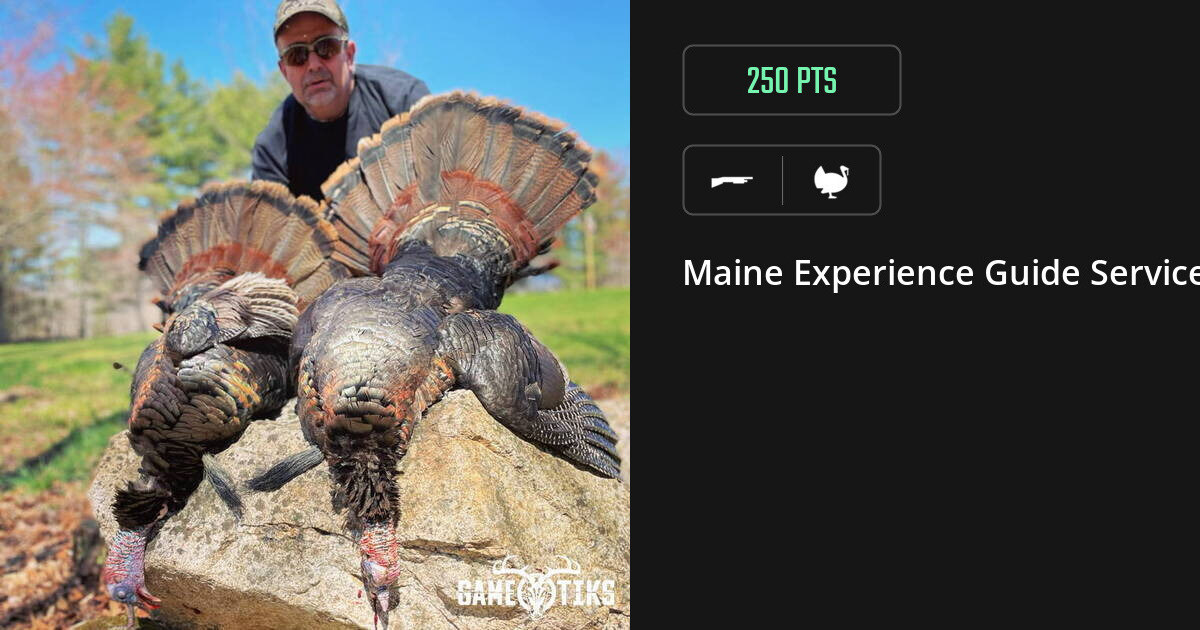 Turkey harvest on Gametiks