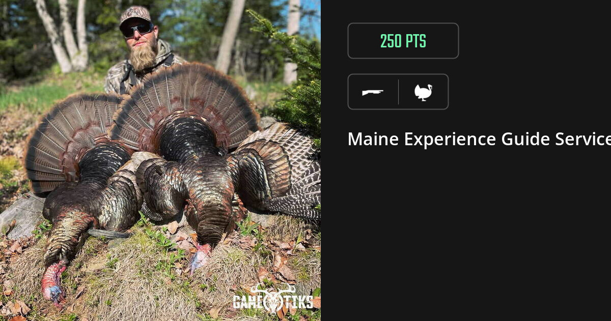 Turkey harvest on Gametiks