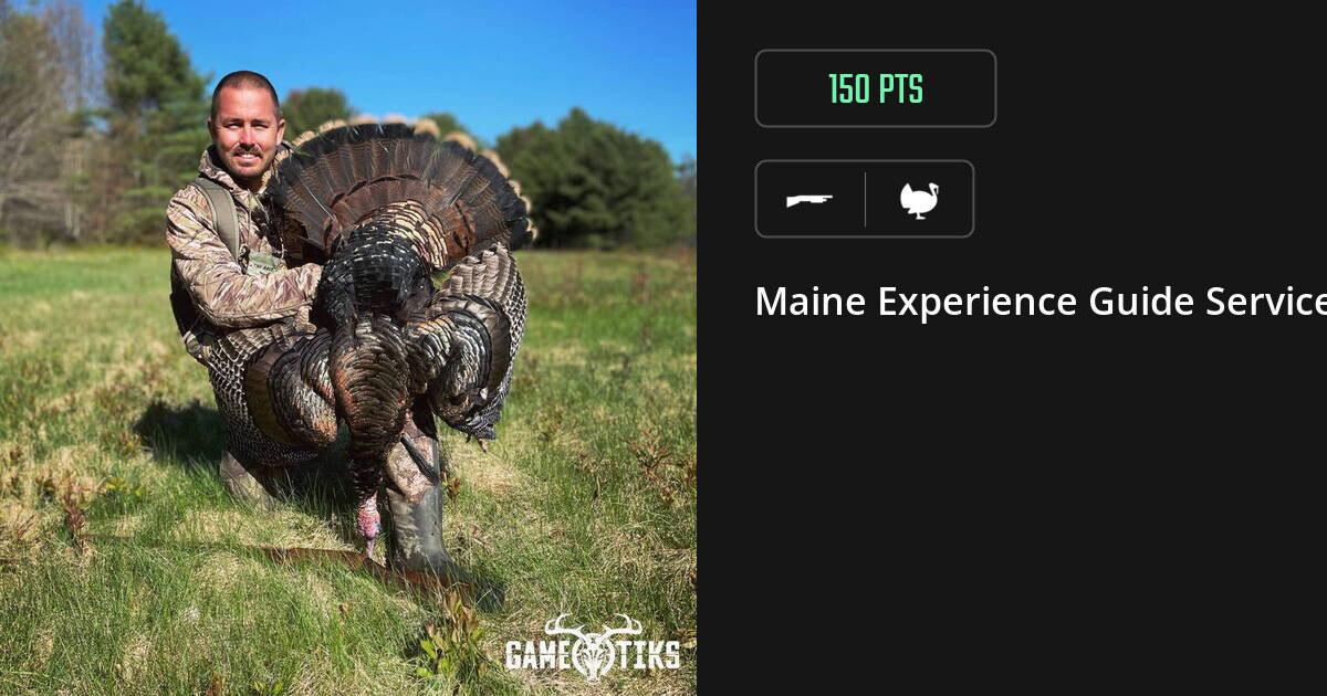 Turkey harvest on Gametiks