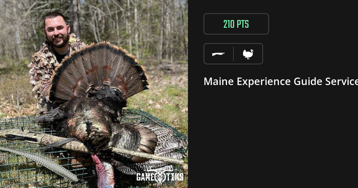 Turkey harvest on Gametiks