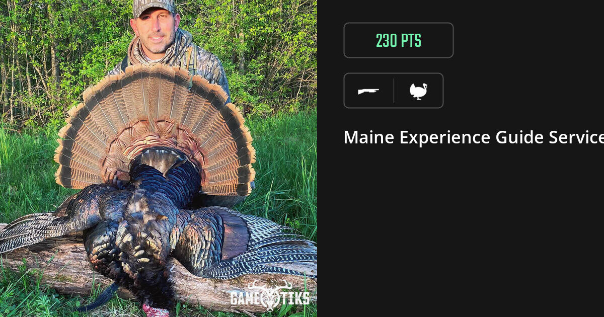 Turkey harvest on Gametiks