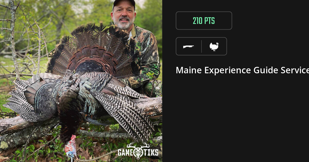 Turkey harvest on Gametiks