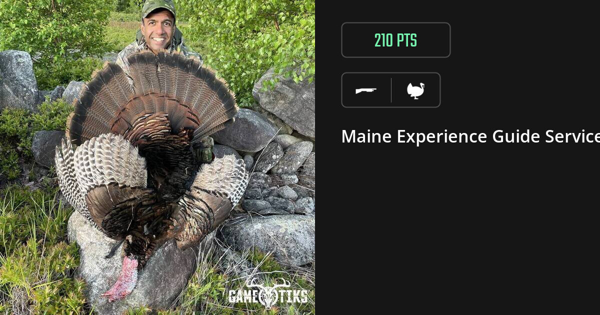 Turkey harvest on Gametiks