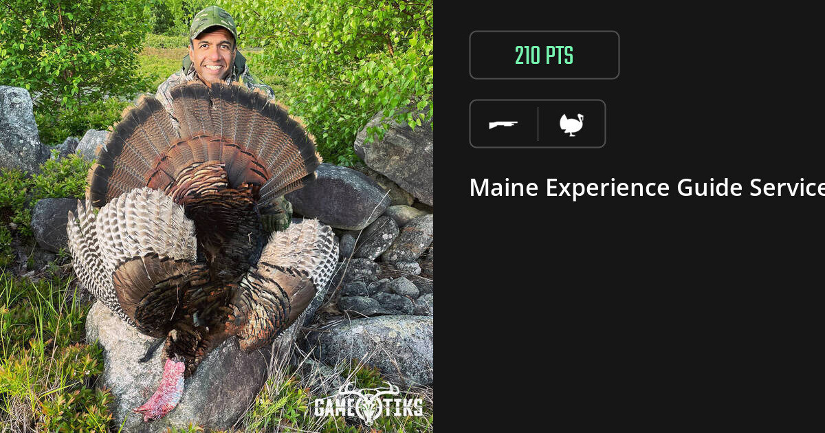 Turkey harvest on Gametiks