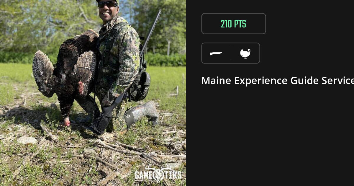 Turkey harvest on Gametiks