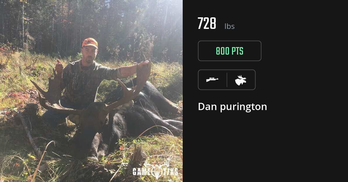 Moose harvest on Gametiks