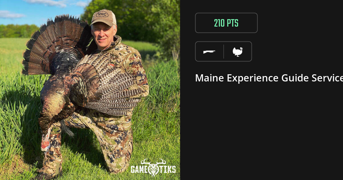 Turkey harvest on Gametiks