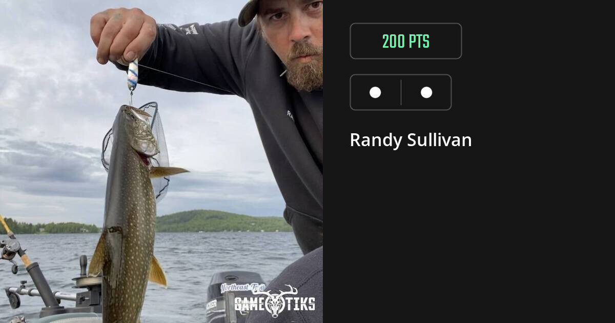 miscellaneous harvest by Randy Sullivan