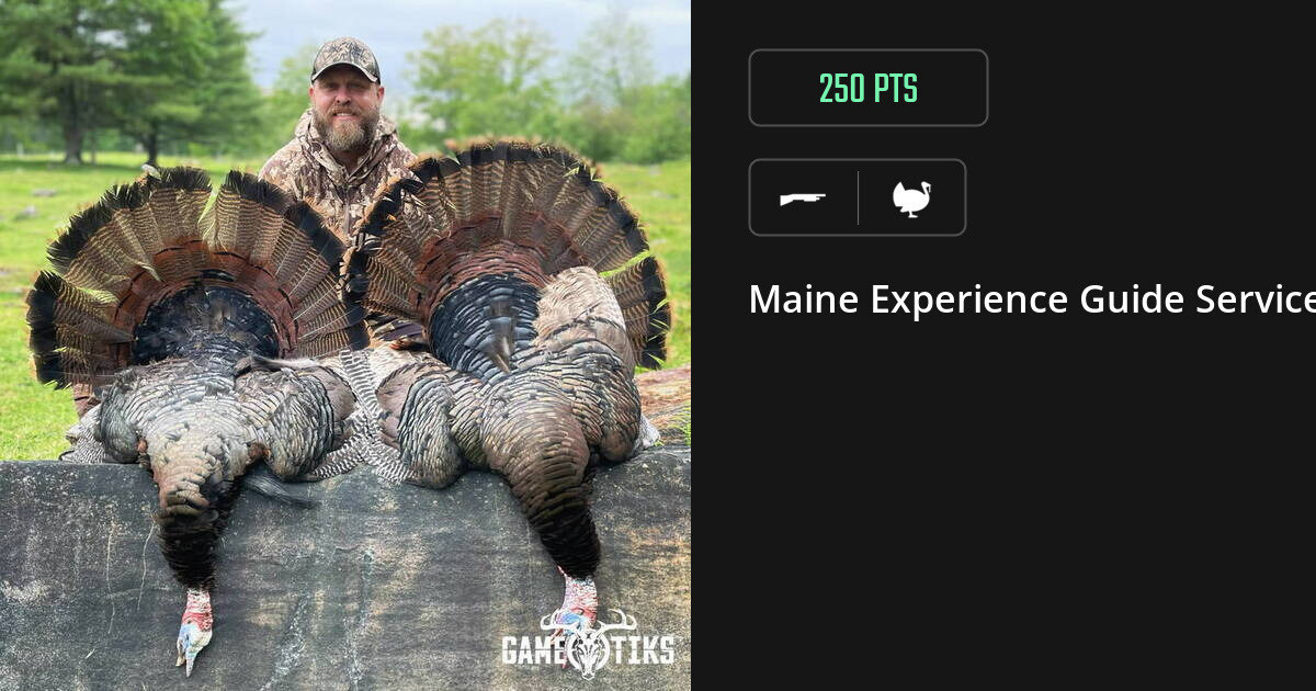 Turkey harvest on Gametiks