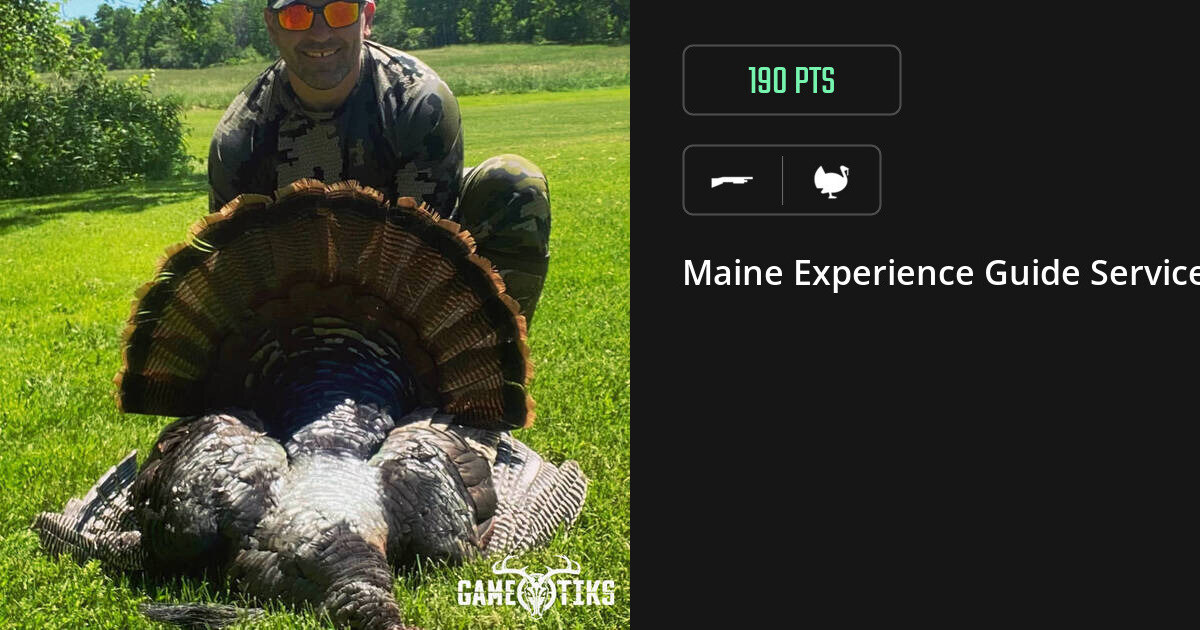 Turkey harvest on Gametiks