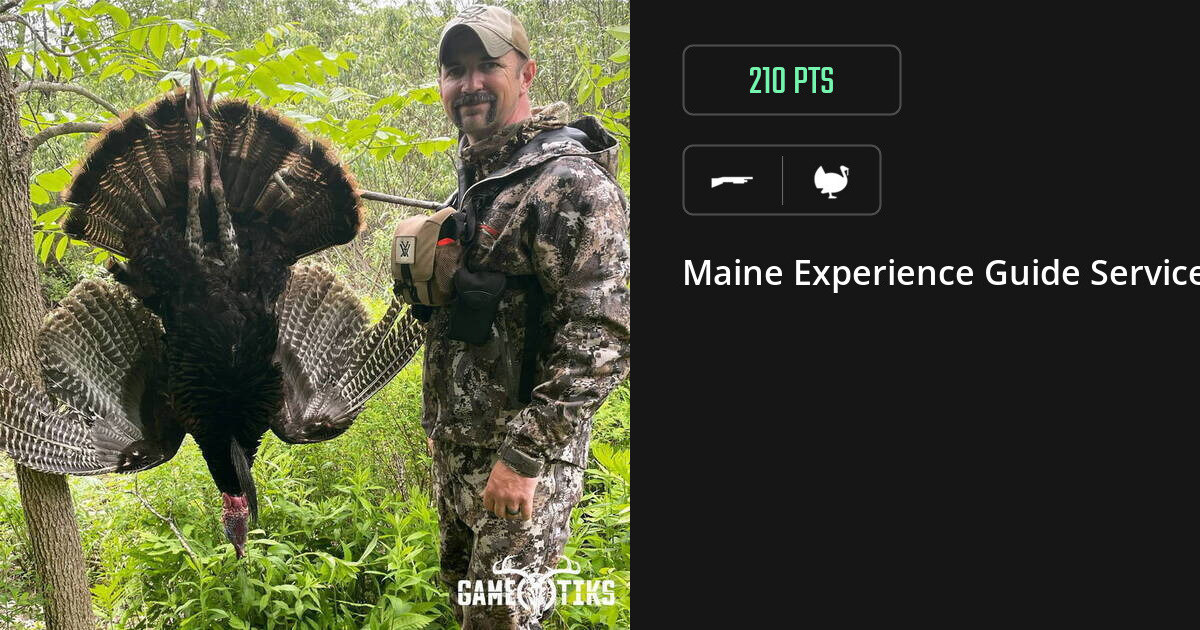 Turkey harvest on Gametiks