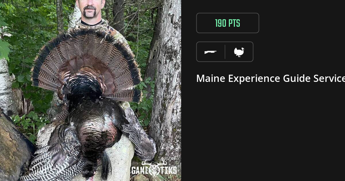 Turkey harvest on Gametiks