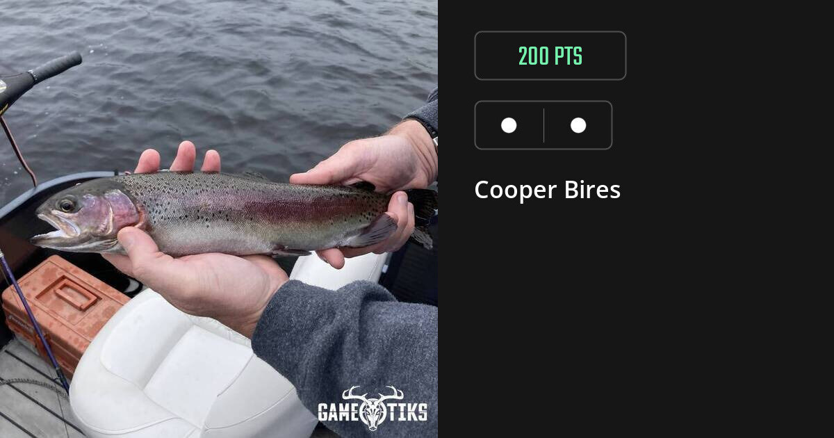 miscellaneous harvest by Cooper Bires