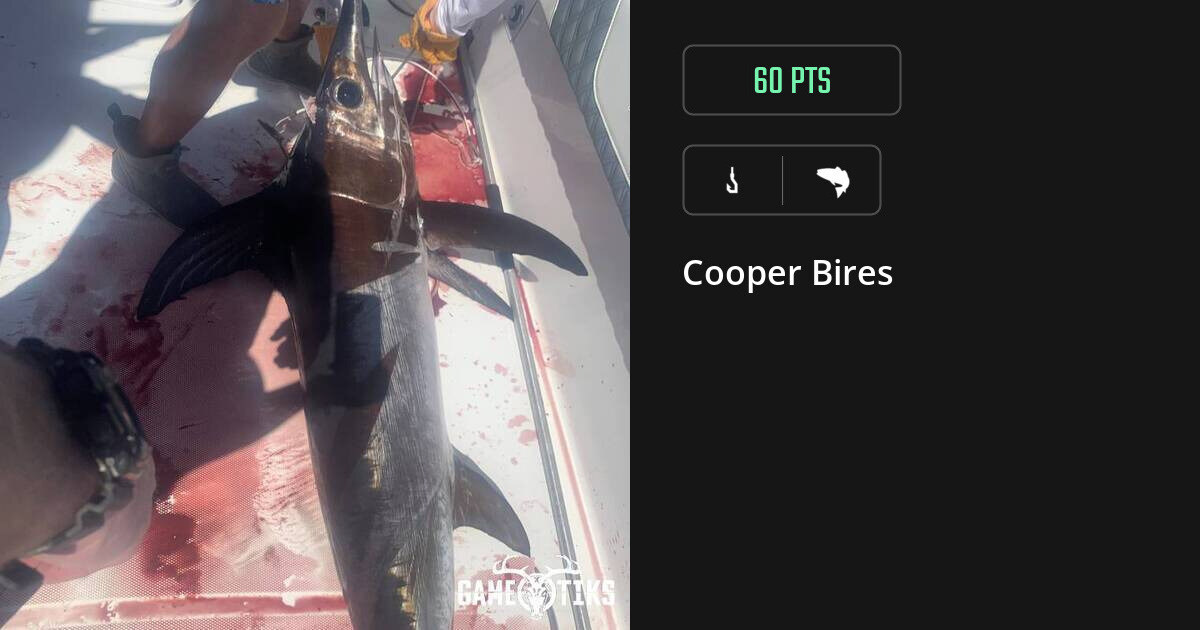 saltwater_fish harvest by Cooper Bires