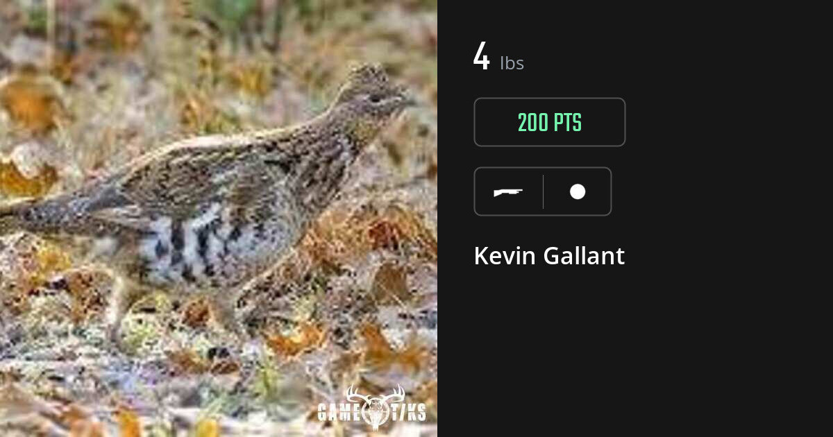miscellaneous harvest by Kevin Gallant