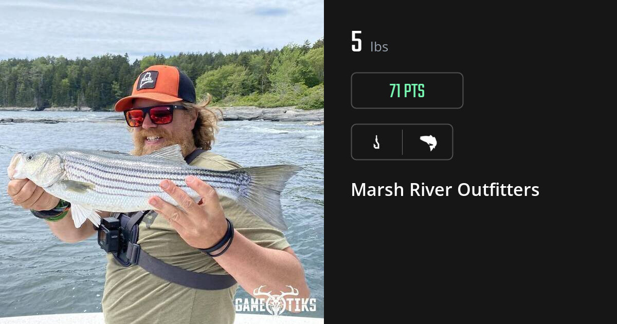 Saltwater fish harvest on Gametiks