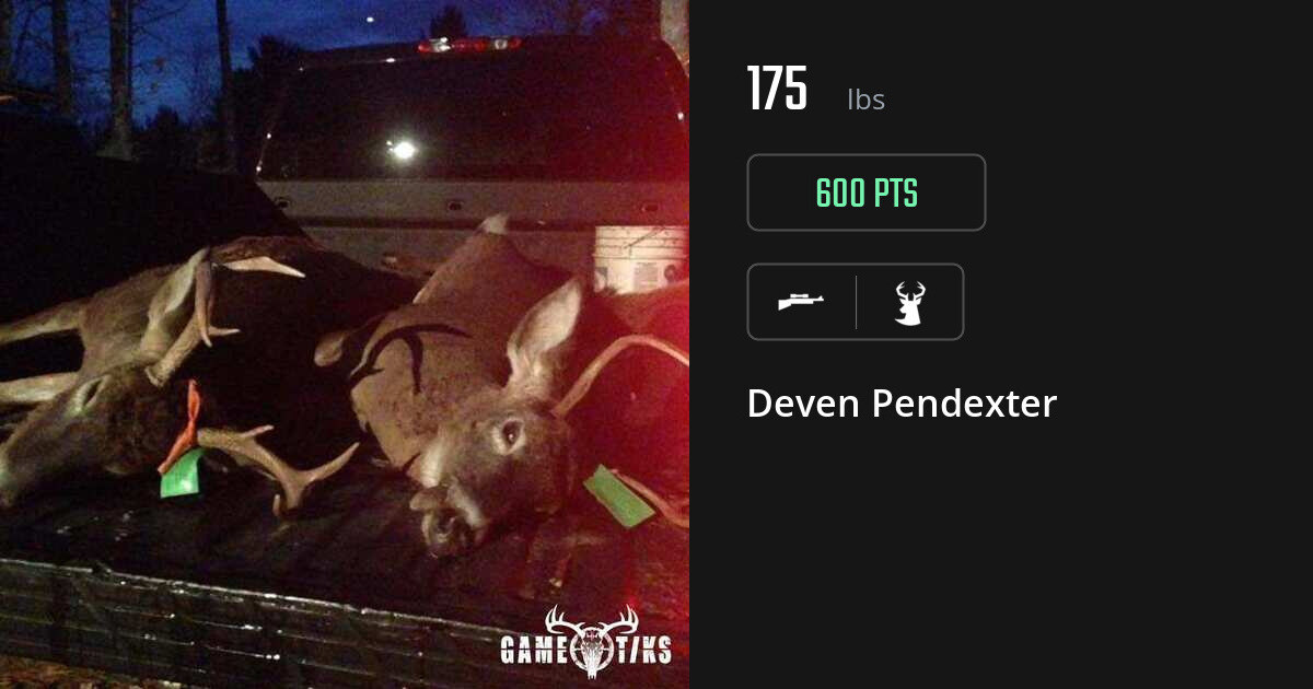 deer harvest by Deven Pendexter