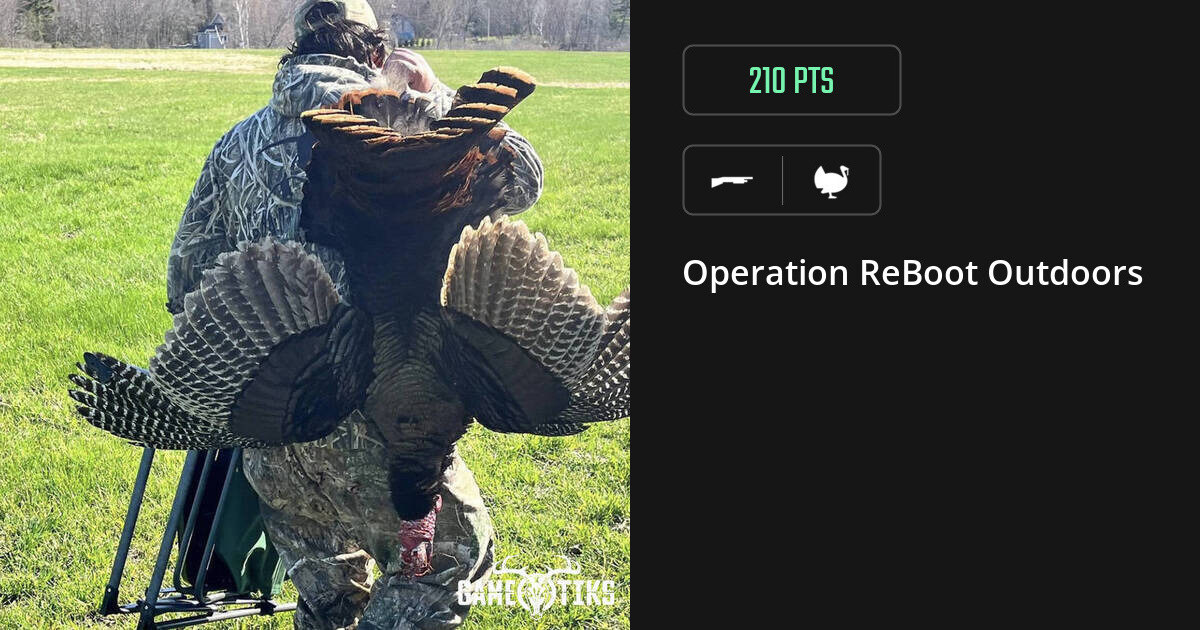 Turkey harvest on Gametiks