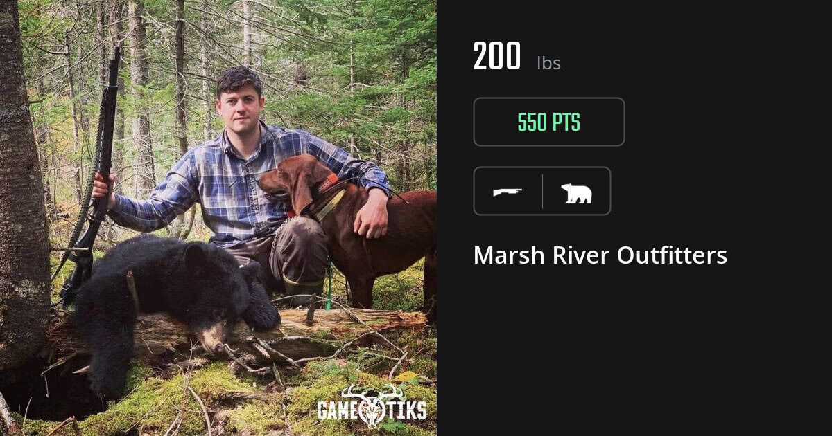 Bear harvest on Gametiks