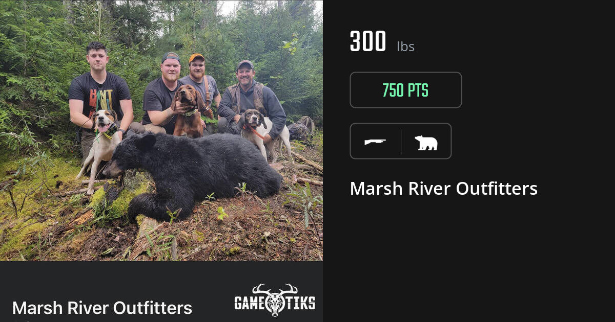 Bear harvest on Gametiks
