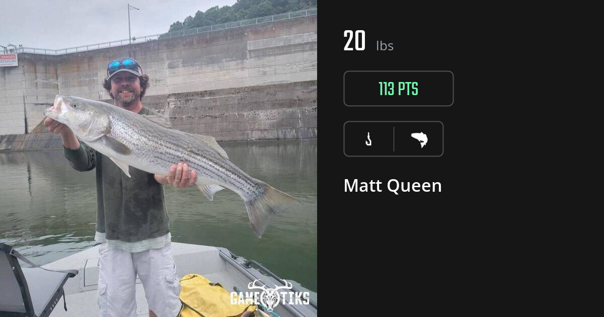 Saltwater fish harvest on Gametiks