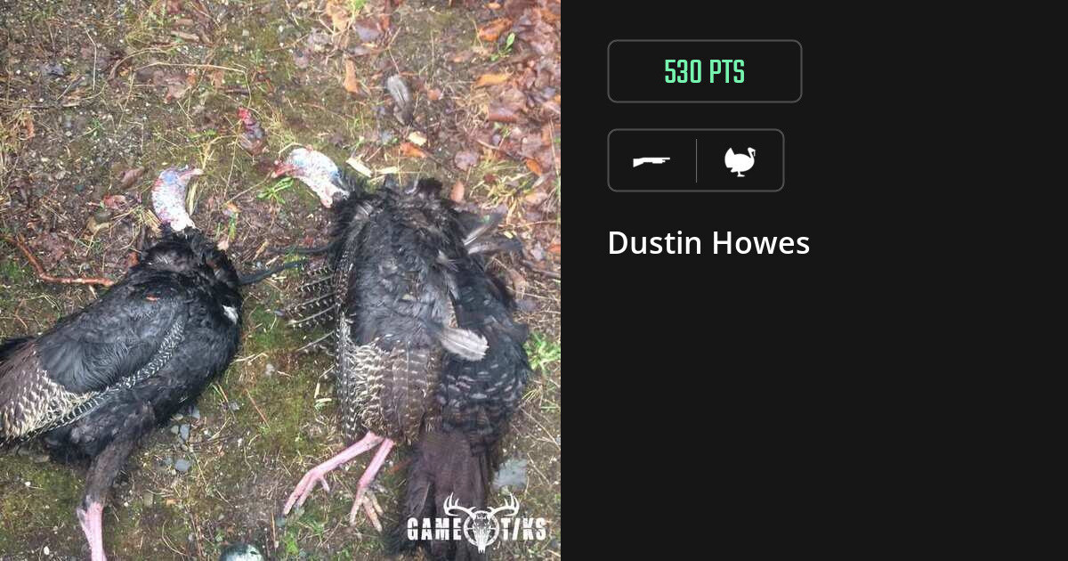 Turkey harvest on Gametiks