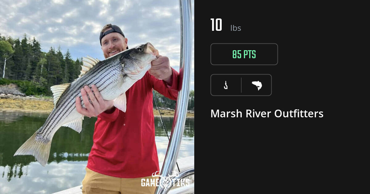 Saltwater fish harvest on Gametiks