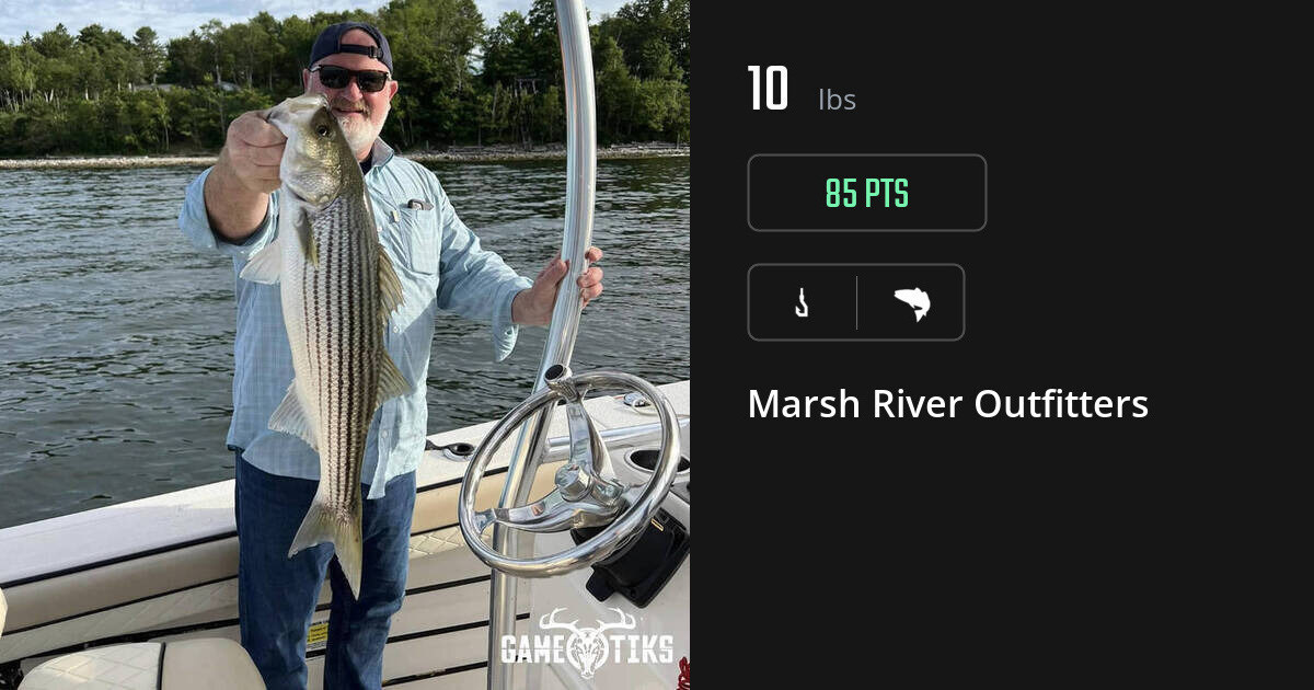 Saltwater fish harvest on Gametiks