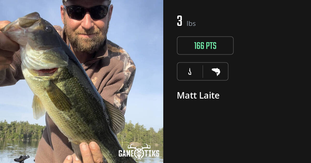 Saltwater fish harvest on Gametiks
