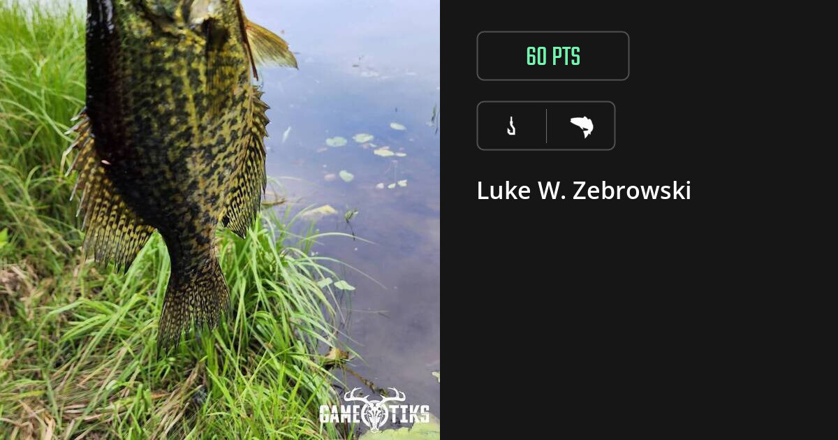 saltwater_fish harvest by Luke W. Zebrowski