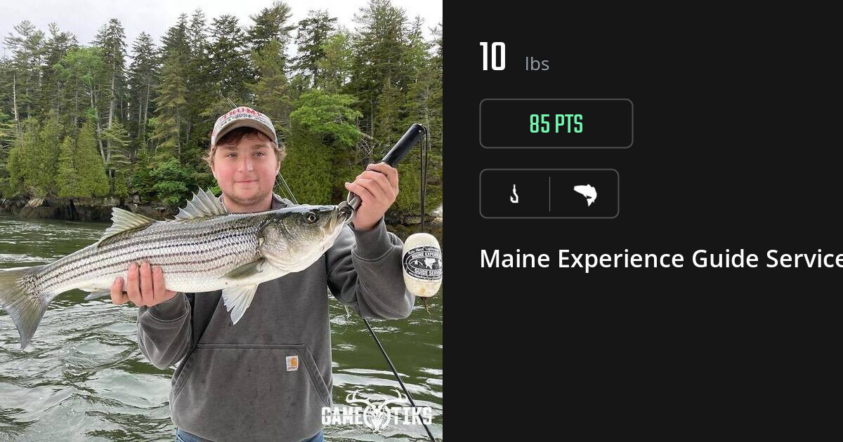 Saltwater fish harvest on Gametiks