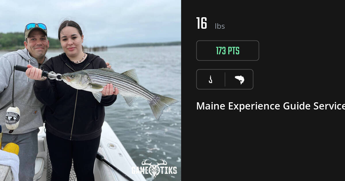 Saltwater fish harvest on Gametiks