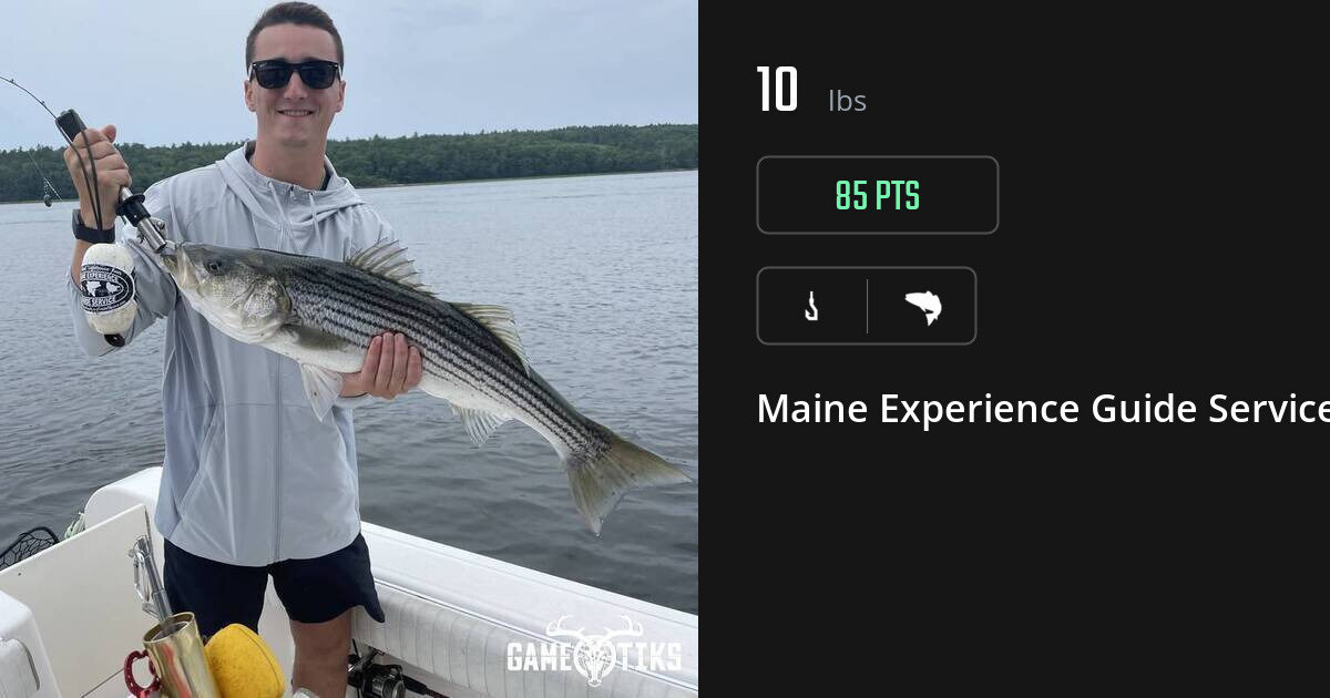 Saltwater fish harvest on Gametiks