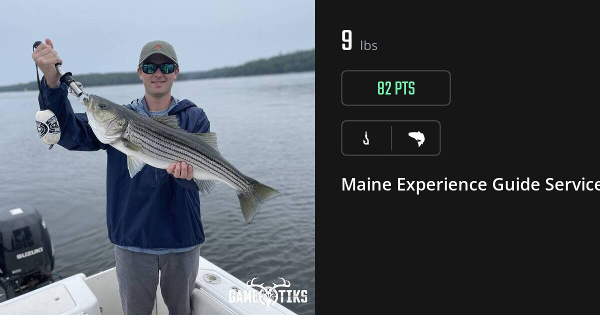 Saltwater fish harvest on Gametiks