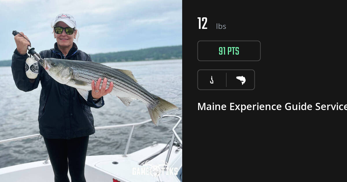 Saltwater fish harvest on Gametiks
