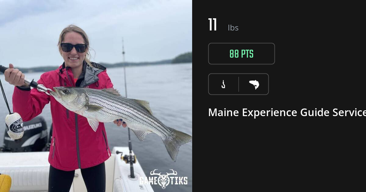 Saltwater fish harvest on Gametiks