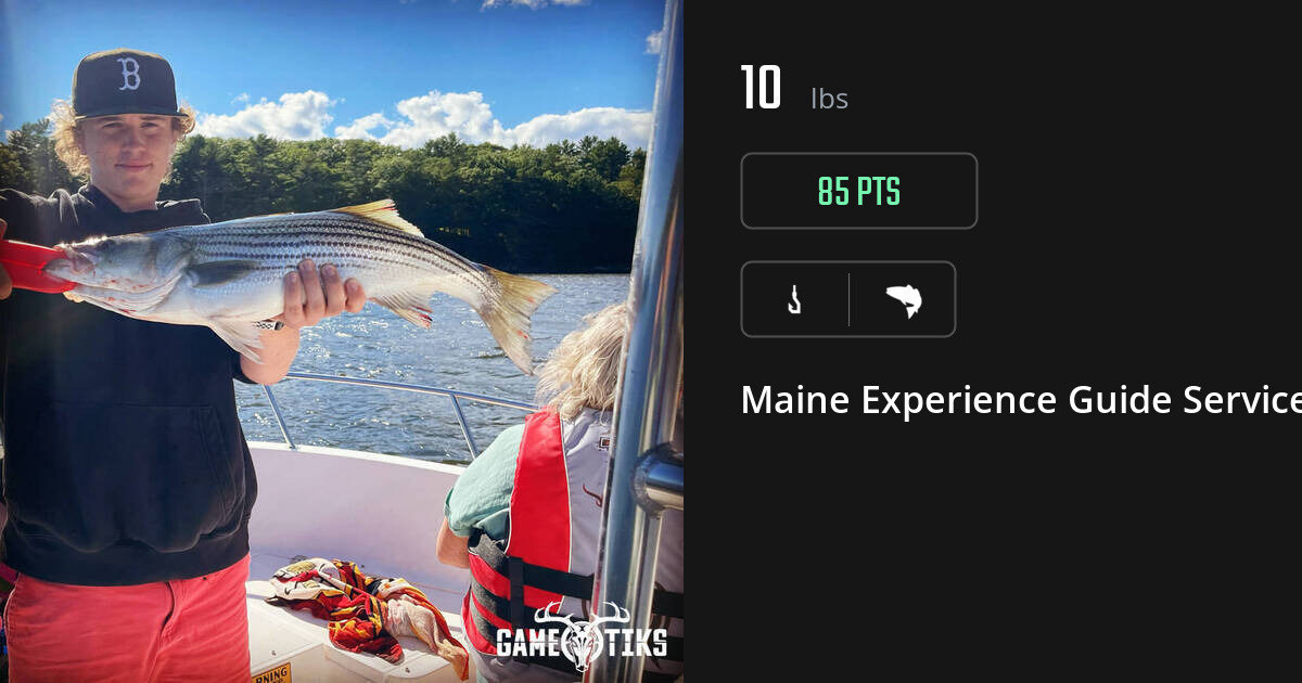 Saltwater fish harvest on Gametiks
