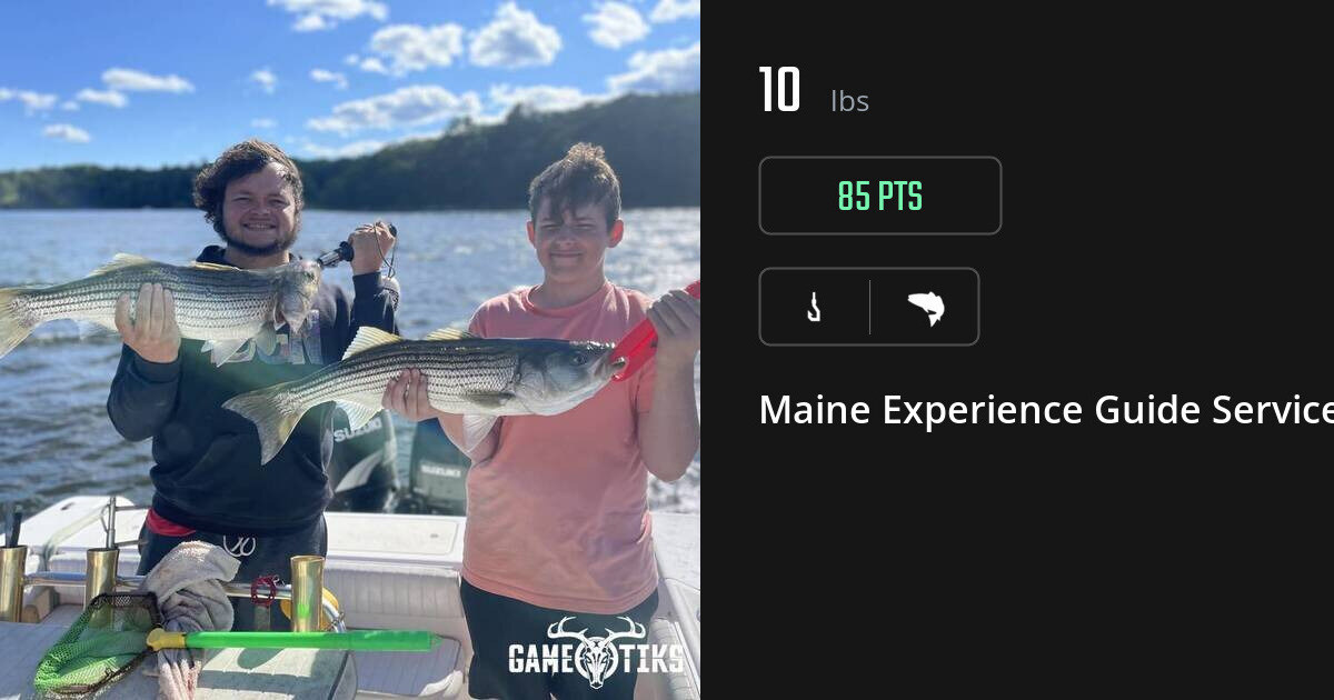 Saltwater fish harvest on Gametiks