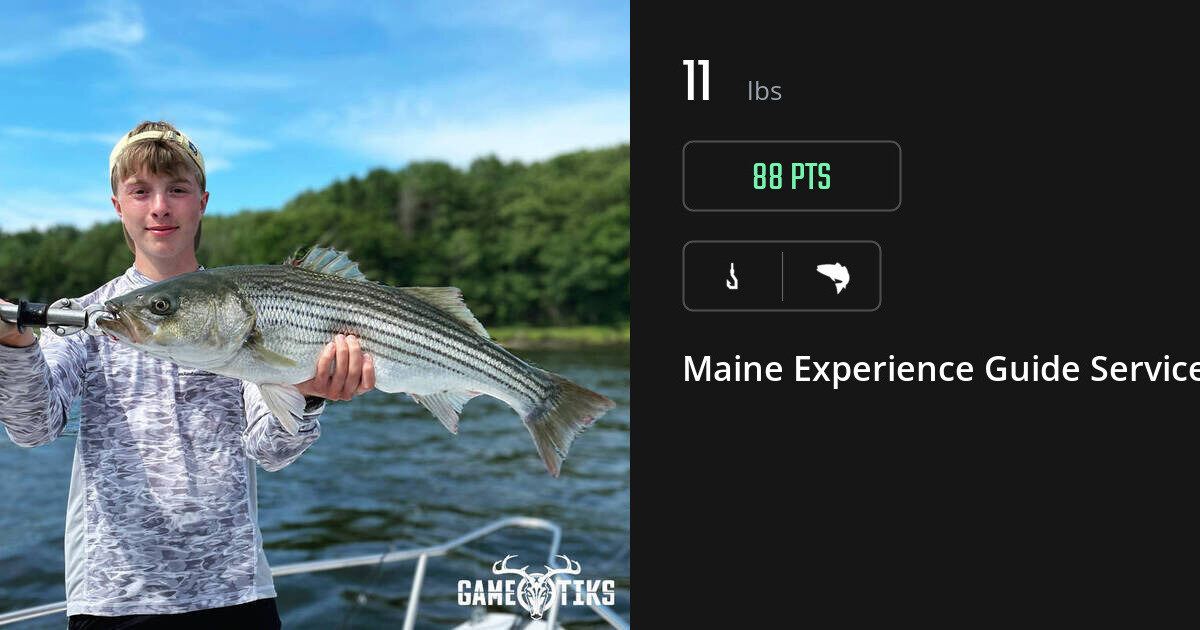 Saltwater fish harvest on Gametiks