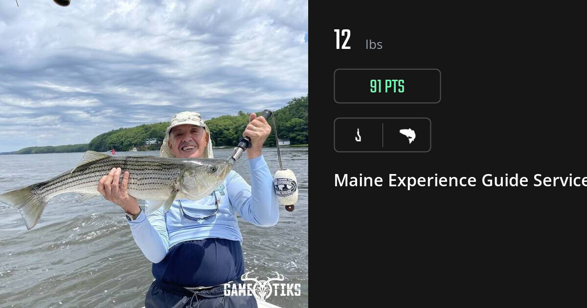 Saltwater fish harvest on Gametiks