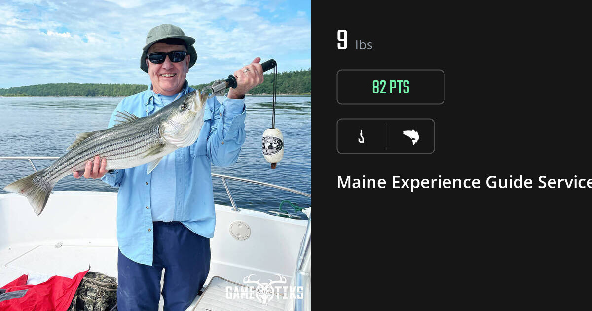 Saltwater fish harvest on Gametiks