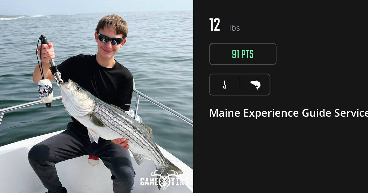 Saltwater fish harvest on Gametiks