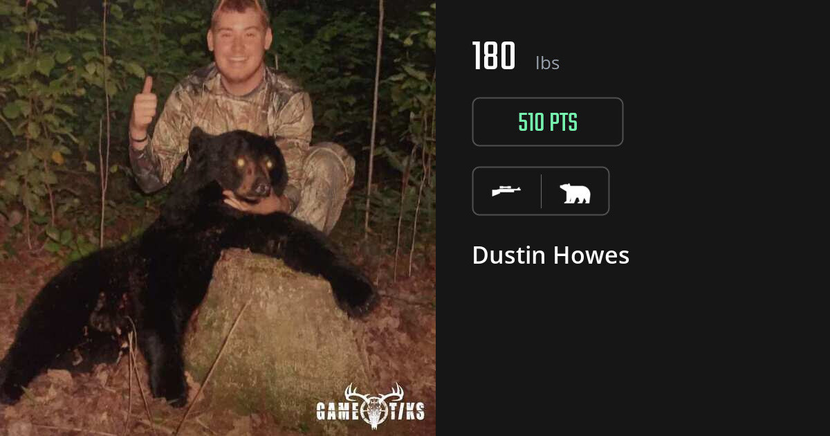 Bear harvest on Gametiks