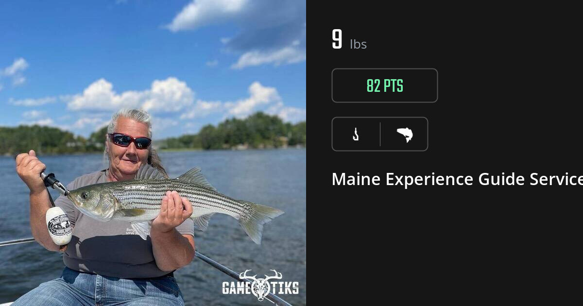 Saltwater fish harvest on Gametiks