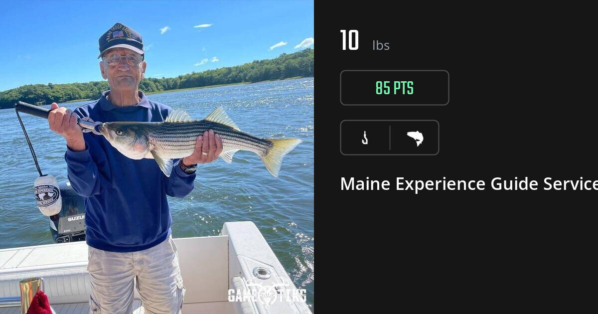 Saltwater fish harvest on Gametiks