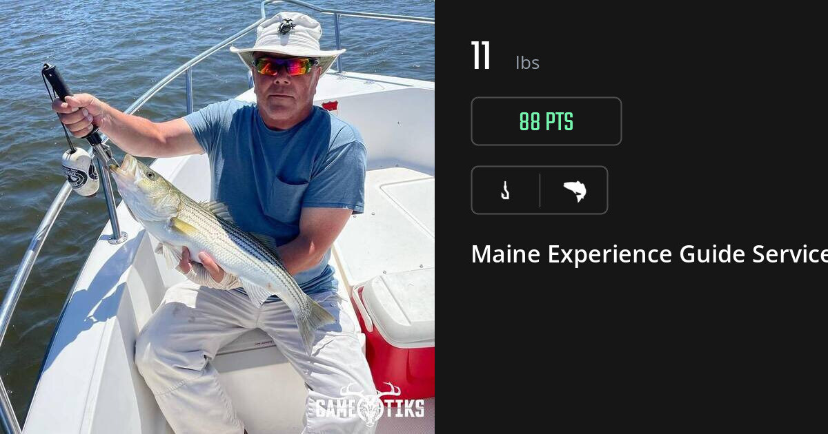 Saltwater fish harvest on Gametiks