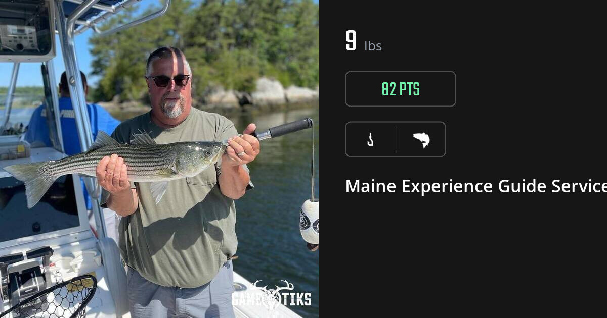 Saltwater fish harvest on Gametiks