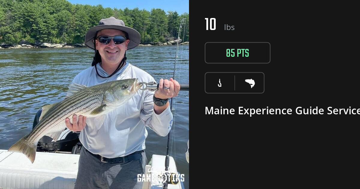 Saltwater fish harvest on Gametiks