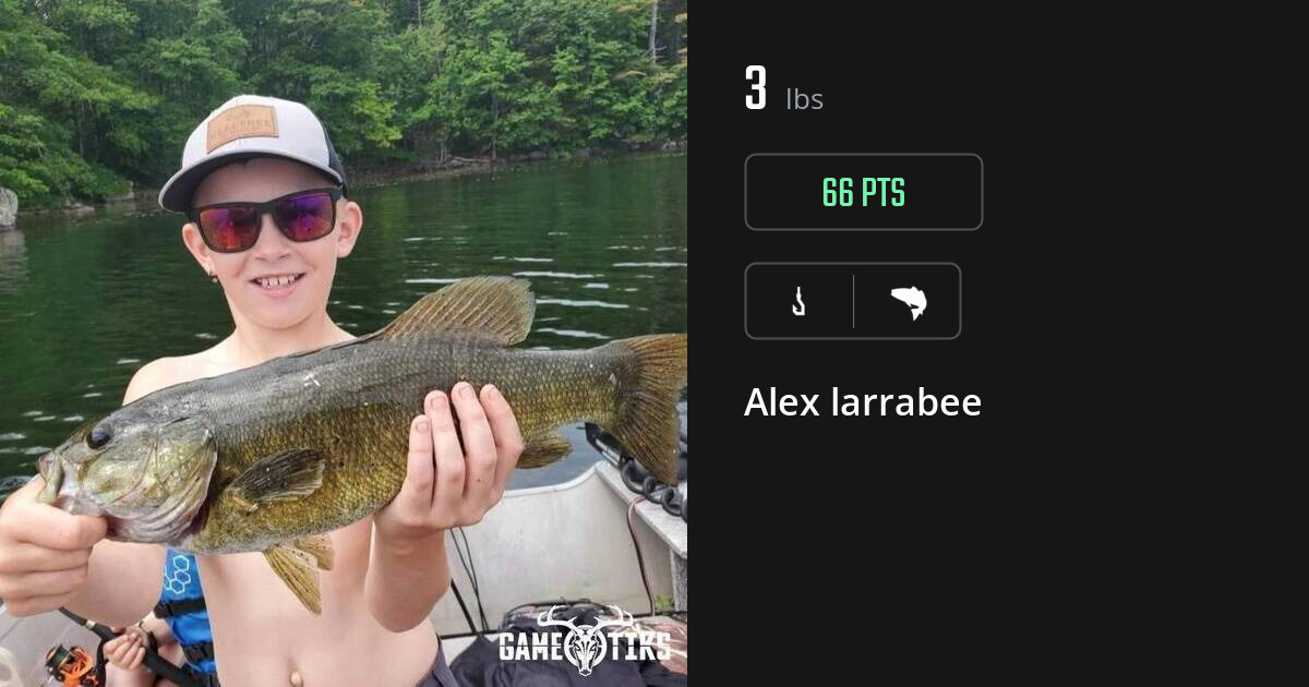 Saltwater fish harvest on Gametiks