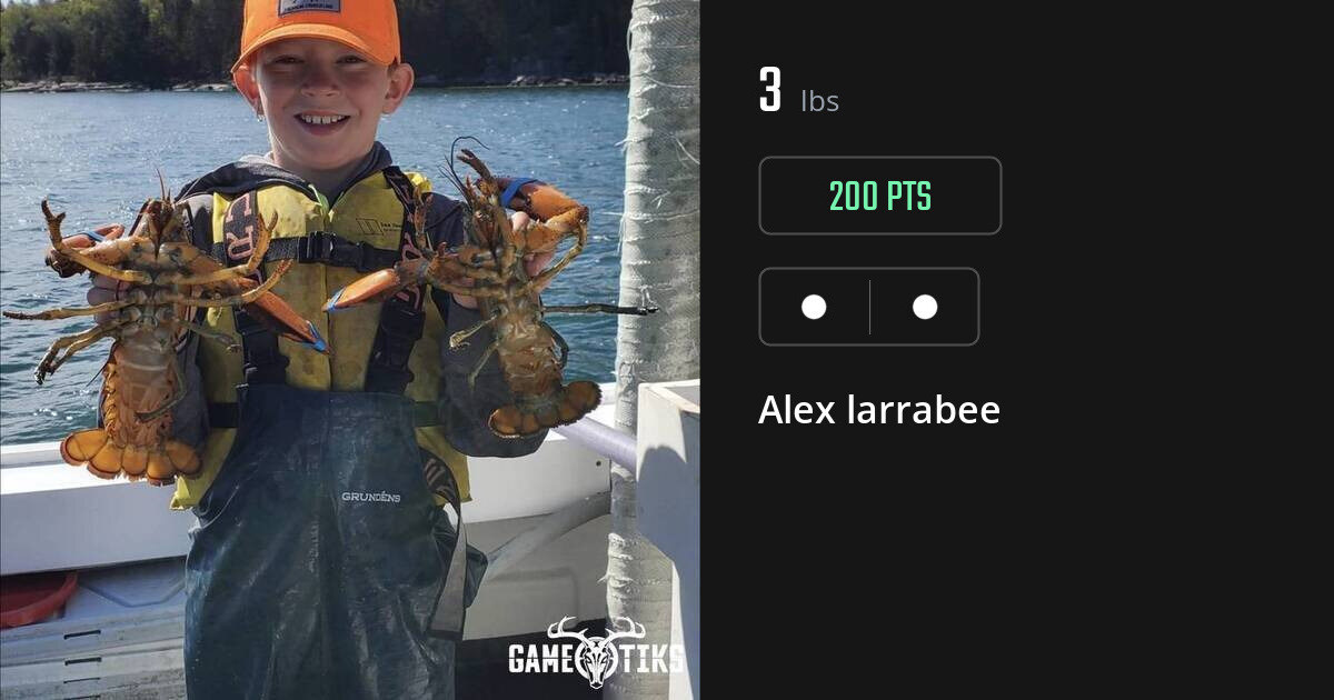 Miscellaneous harvest on Gametiks
